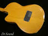 Gibson Chet Atkins SST 4.jpg
